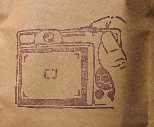 Digital camera